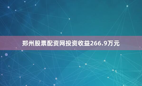 郑州股票配资网投资收益266.9万元