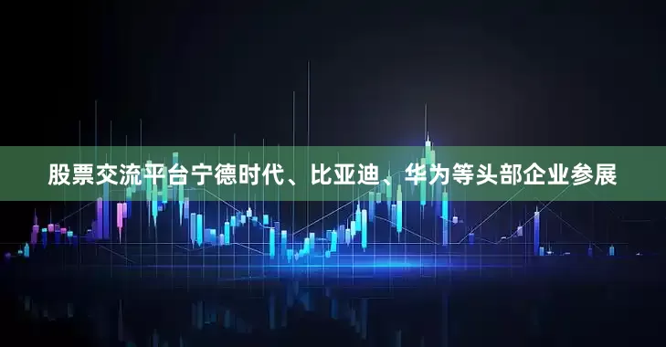 股票交流平台宁德时代、比亚迪、华为等头部企业参展