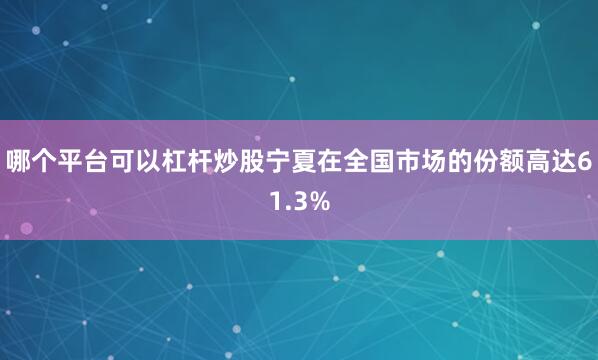 哪个平台可以杠杆炒股宁夏在全国市场的份额高达61.3%