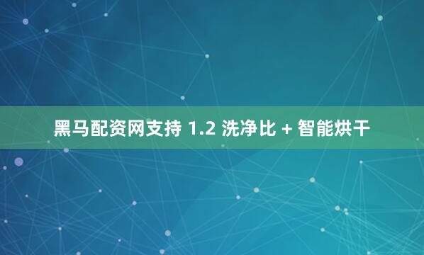 黑马配资网支持 1.2 洗净比 + 智能烘干