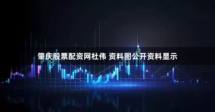 肇庆股票配资网杜伟 资料图公开资料显示